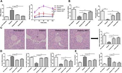 Investigating the Molecular Mechanism of Aqueous Extract of Cyclocarya paliurus on Ameliorating Diabetes by Transcriptome Profiling